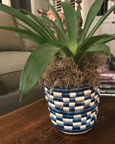 African Basket Flower Pot